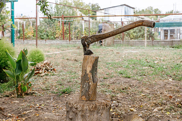 The axe is stuck in a log in the backyard on an autumn day