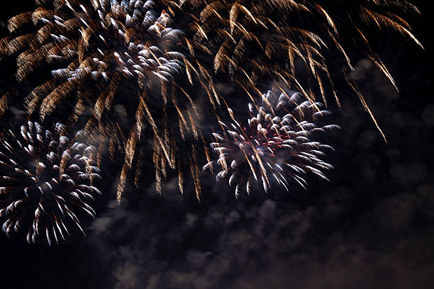 Bright and vibrant fireworks light up the night sky, creating a stunning spectacle. The event showcases various shapes and colors, perfect for celebratory occasions.