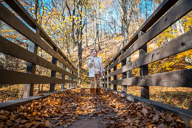 Kid walk over wooden bridge and leaves in the Autumn.