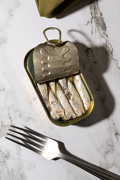 Canned sardines isolated on kitchen countertop