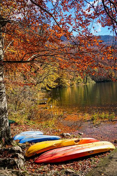 istock Gondola Under Tree by Belgrade Lake in Autumn 2244763087