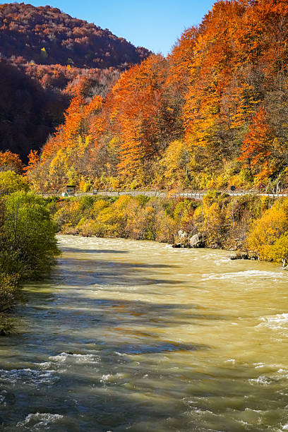 istock Flowing River in Vibrant Autumn Forest Landscape 2244763129