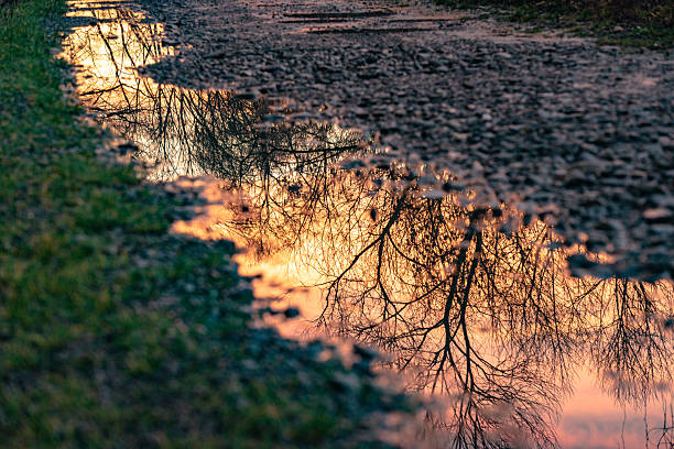 istock Reflection of a landscape with a forest puddle 2244763178