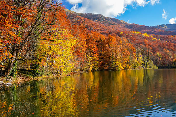 istock Colorful Autumn Trees Reflected in Calm Lake Water 2244763306