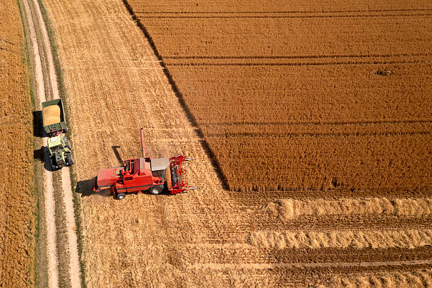 istock Combine harvester and tractor with tailer 2244769510