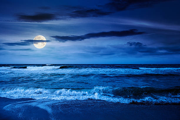 istock black sea waves crashing sandy beach at night 2244771471
