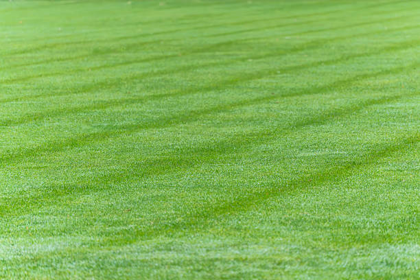 istock Close-up of a freshly cut green grass field with striped mowing patterns. 2244771618