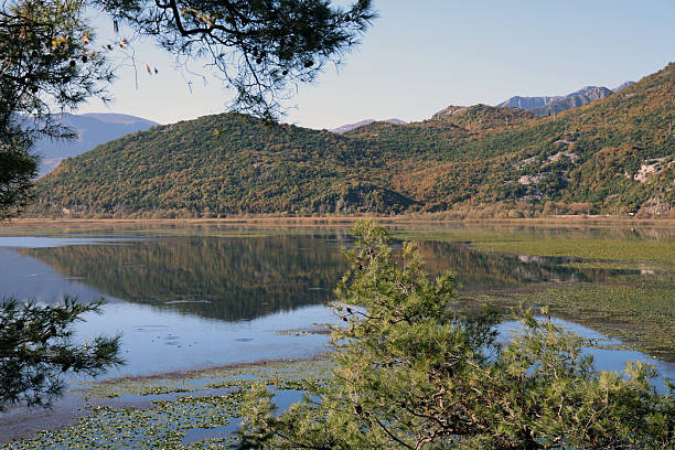 istock Tranquil Mountain Lake Scene With Reflections Framed by Trees and Calm Water 2244771821