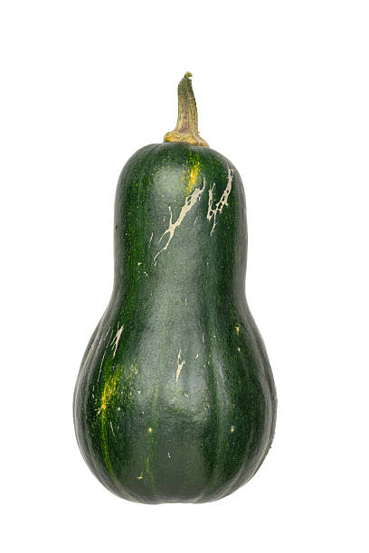 Isolated Green Butternut Squash with Unique Natural Patterns for Autumn Harvest Themes