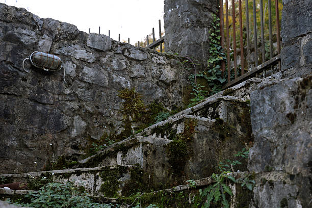 A weathered stone staircase ascends a mossy wall, bordered by a rusty iron fence and trailing ivy. The scene conveys old architecture, rustic charm, and neglected outdoor beauty.