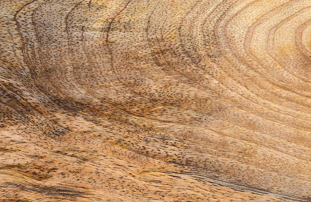 istock Natural wood grain texture background, interior design visuals, or woodworking inspiration 2244774977