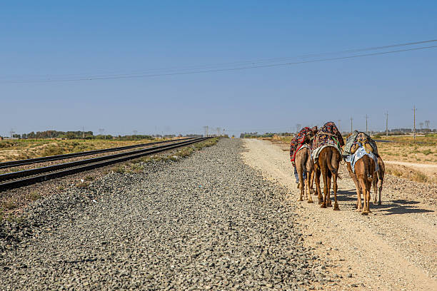 A symbolic scene showing camels walking along a railway line under clear blue sky, representing the contrast between traditional and modern transportation in rural landscapes. Captured in Iran. No people visible in detail