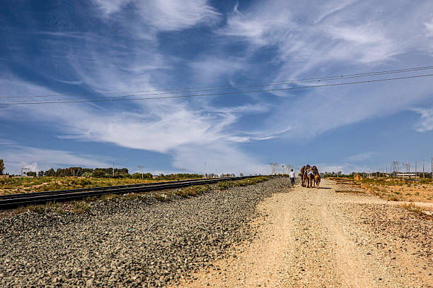 A symbolic scene showing camels walking along a railway line under clear blue sky, representing the contrast between traditional and modern transportation in rural landscapes. Captured in Iran. No people visible in detail