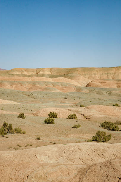 istock Golden sand dunes and desert horizon 2244775970