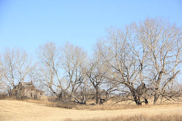 Abandoned farms and falling buildings and scenery on the prairies.