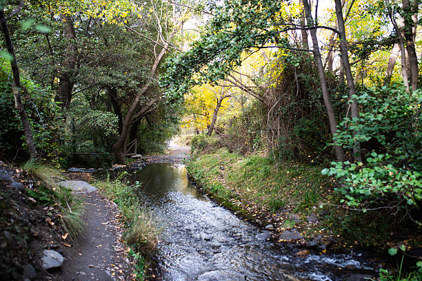 The Yanuncay river that runs through the city of Cuenca.