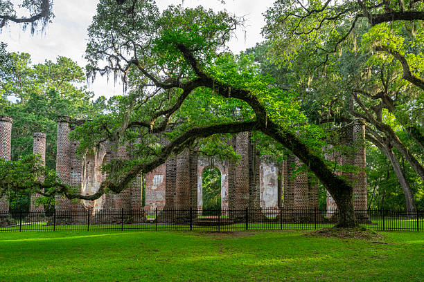 istock Beautiful tree surround Old Sheldon Church ruins 2244782941