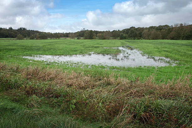 istock Flooded meadows at Peizerdiep panorama 2244783358
