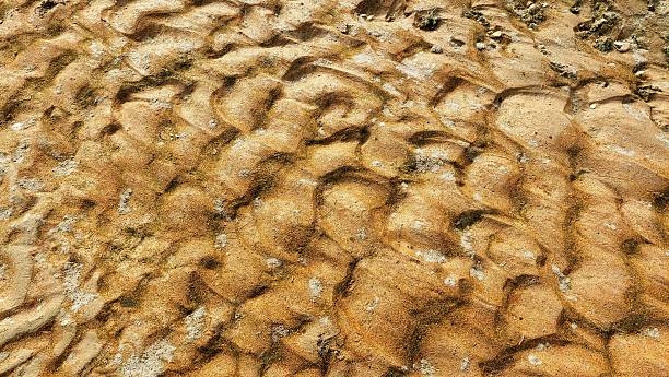 An extreme close-up of a sandy riverbed showcases intricate patterns formed by flowing water. The surface displays undulating, wave-like textures with varying shades of brown and ochre. Small pebbles and grains of sand create detailed ridges and grooves, emphasizing the dynamic interaction between sediment and water flow. This textured formation highlights the natural processes of erosion and deposition commonly found in riverbeds.