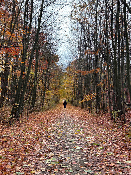 istock Autumn walk in Canada 2244784421
