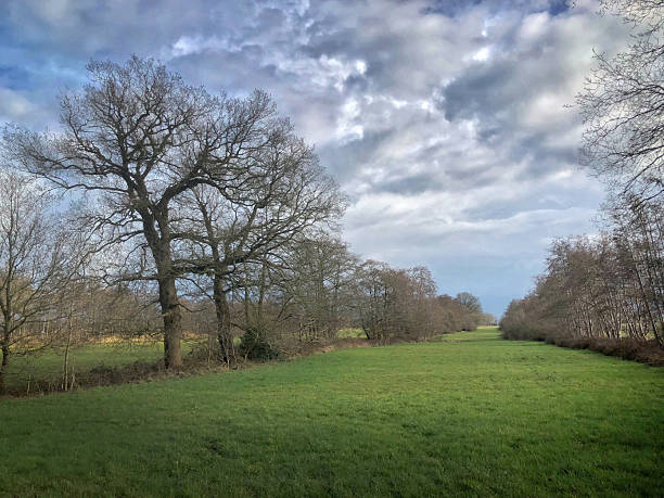 istock Rural landscape with pastures in winter. Clouds. 2244785365