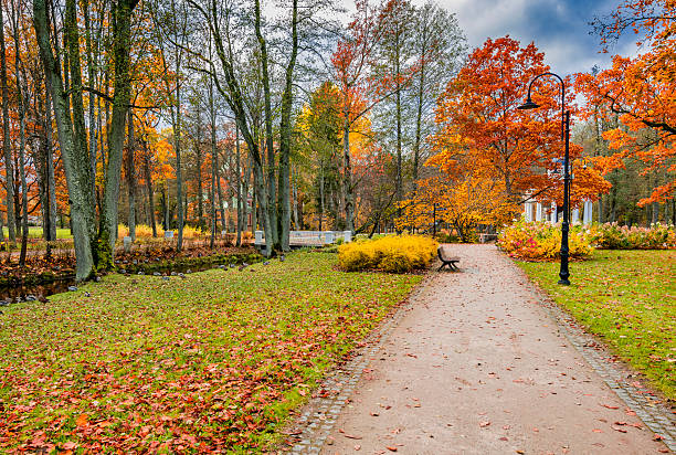 Walking alley in autumn park, reforestation and renovated works in old public park, cloudy day, light rain and short sunlight sometimes