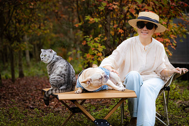 In autumn, an Asian woman was happily playing with her pet dog and cat in the maple forest.