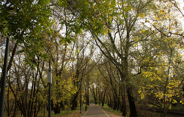 istock Autumn among the concrete jungle 2244803428