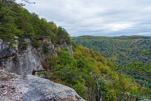 istock Dramatic Overlook of Autumn Forest Under Cloudy Sky 2244806693