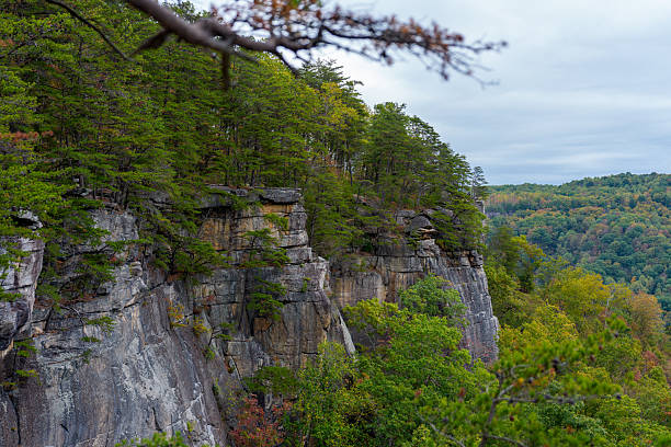 istock Scenic Cliffside View with Lush Greenery and Fall Colors 2244806722