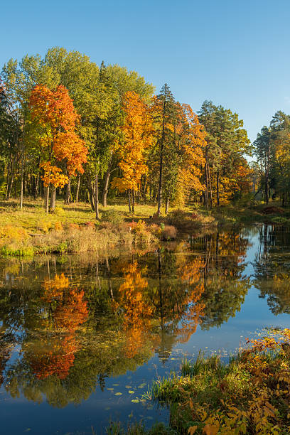 istock A serene autumn landscape featuring a calm lake surrounded by colorful trees 2244809186
