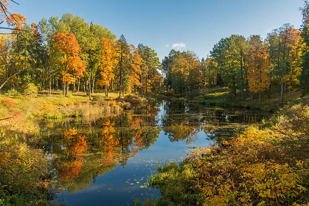 istock A serene autumn landscape featuring a calm lake surrounded by colorful trees 2244809187