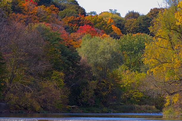 istock Autumn river landscape with vibrant foliage 2244813826
