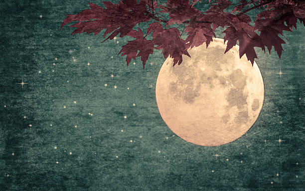 istock Maple Leaves and Full Moon in Starry Night Sky Muted Colors Atmospheric Mood 2244813903