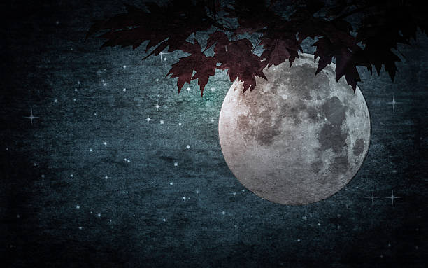 istock Maple Leaves and Full Moon in Starry Night Sky Gothic Style Atmospheric Mood 2244814299