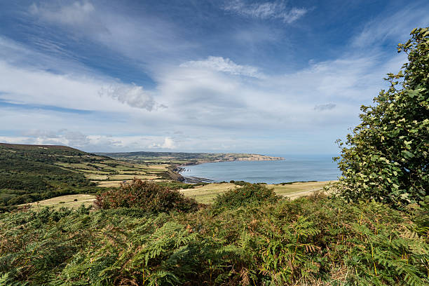 istock Cleveland Way View from Ravenscar 2244814627