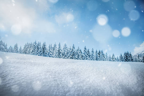 istock Winter Forest Landscape With Snow And Blue Sky 2244815849
