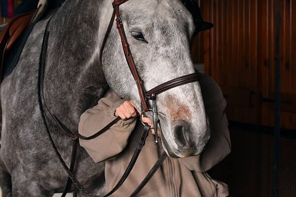 istock Person securing leather bridle on horse head 2244817870