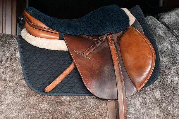 istock Leather horse saddle on horse back 2244817879