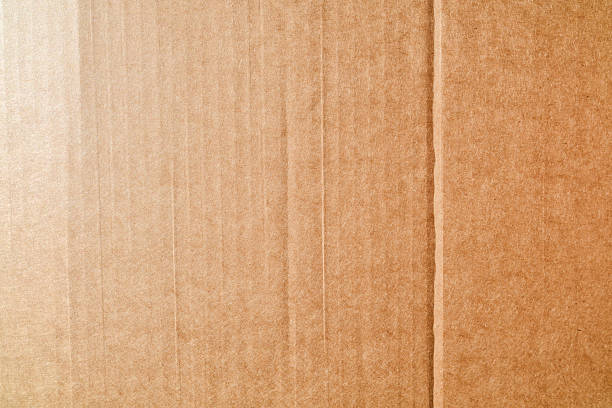Brown cardboard surface showing corrugated texture and a fold detail
