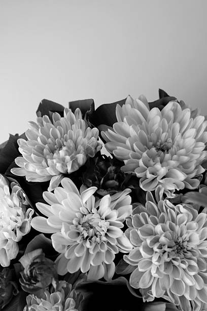 istock Grayscale Vertical Image of Blooming Flowers Closeup View 2244833260