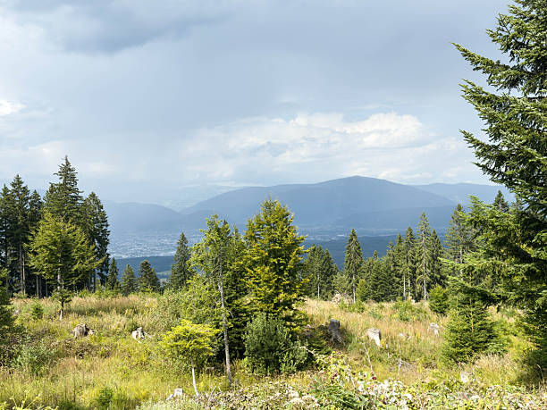 istock Scenic mountainous landscape with lush pine forest and cloudy sky 2244835783