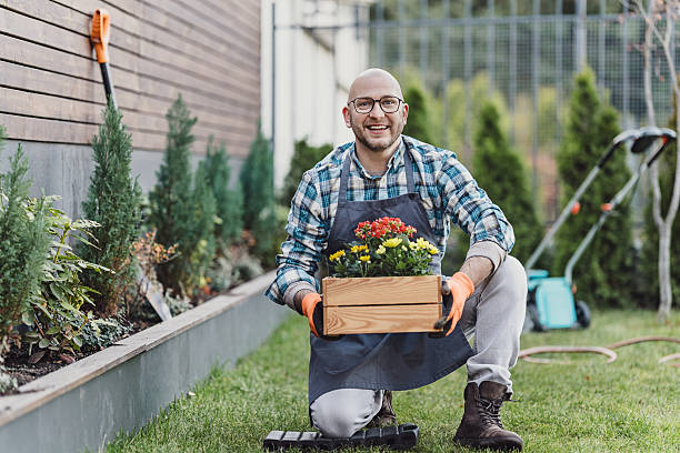 istock Smiling gardener holding a wooden box with blooming plants 2244836285