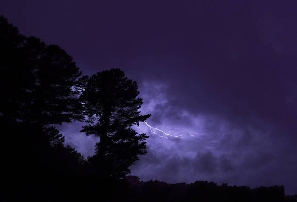 istock Bolt of lightning from behind the trees at night 2244842169