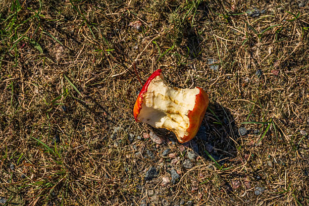 Close up of bitten apple core on ground.