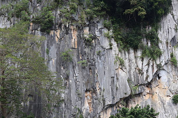 istock Limestone karst cliff face with lush tropical greenery. 2244845045