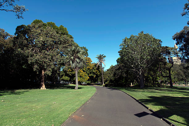 Finding serenity under the clear blue sky in the beautiful Royal Botanic Garden, Sydney, NSW, Australia. (Photo by Tara Chand Malhotra)