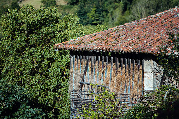 istock Asturian horreo with hay 2244849863