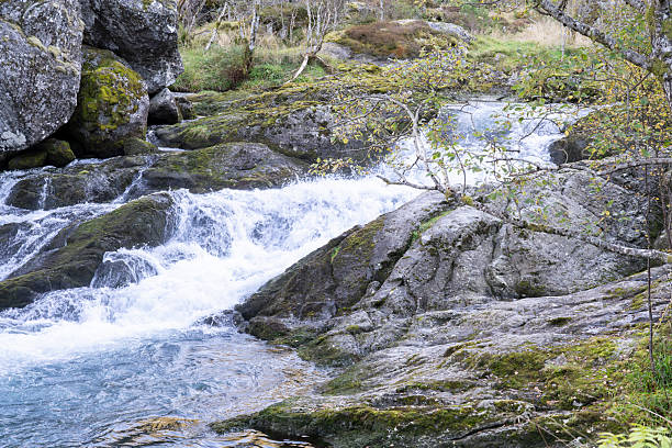 Folgefonna National Park in the Western part of Norway in autumn (late September).