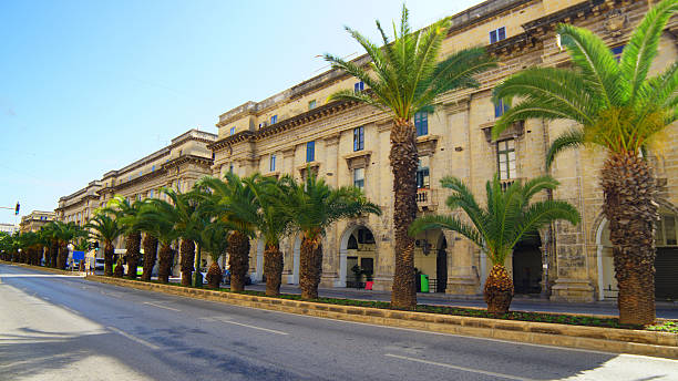 istock Malta- The Palm Tree Alley in Valletta 2244858193